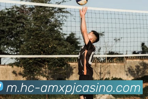 多媒体互动体验